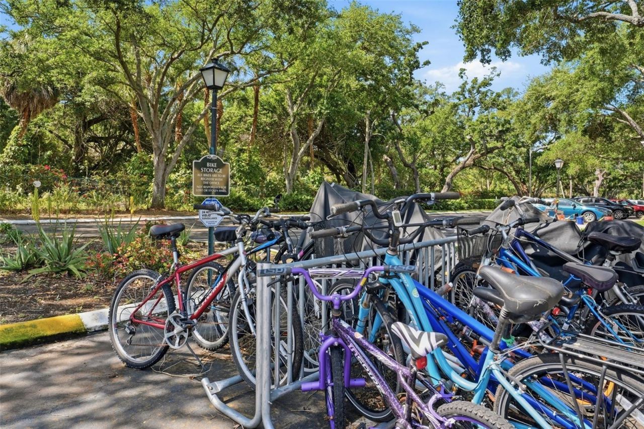 3001 58th Avenue S, Unit 1015, Saint Petersburg, FL 33712 Photo