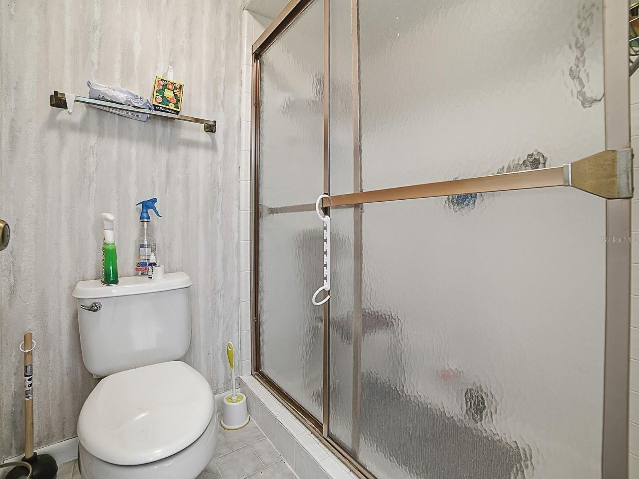 104 Peppertree Court, Yalaha, FL 34797 Photo