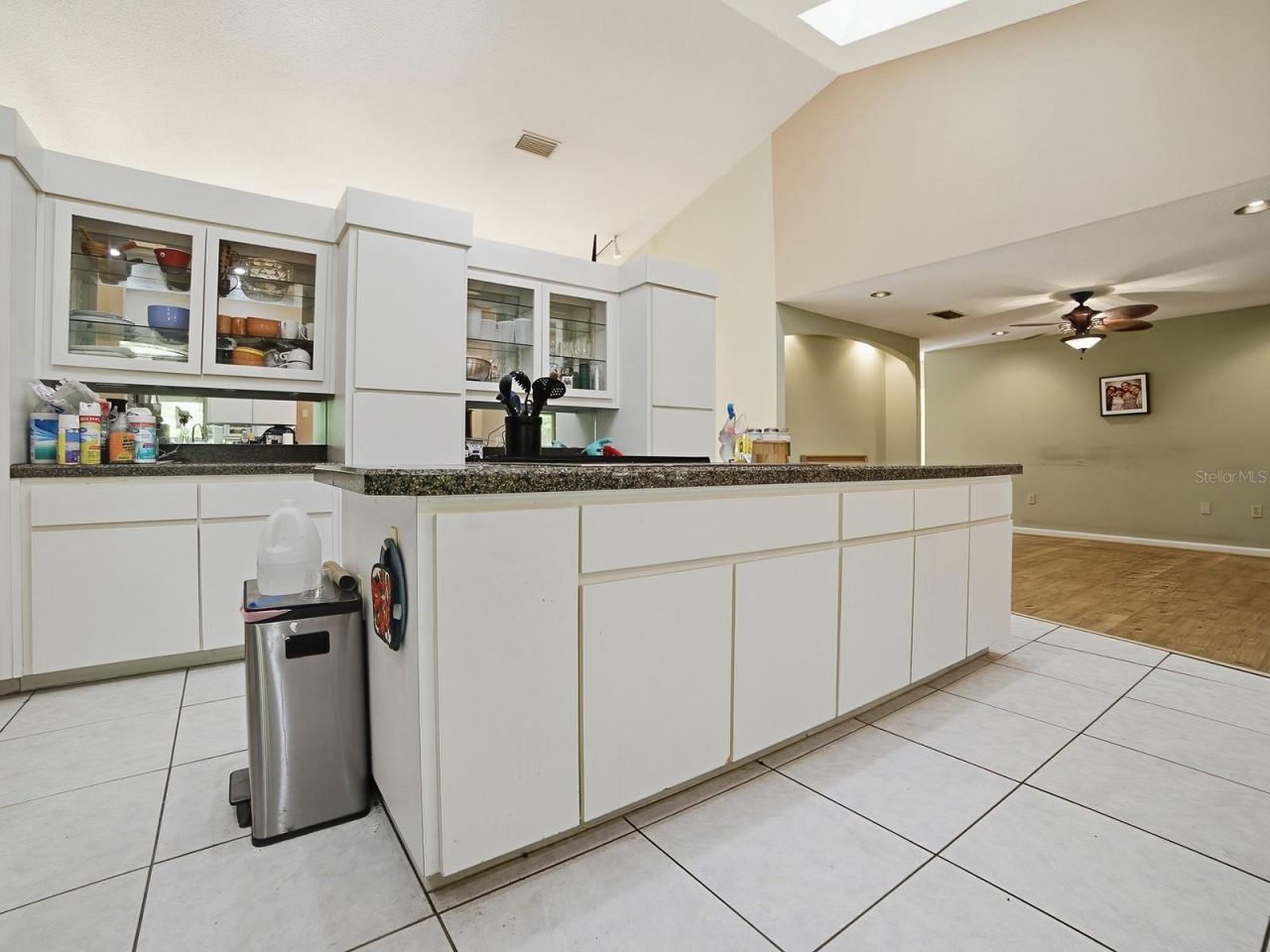 104 Peppertree Court, Yalaha, FL 34797 Photo