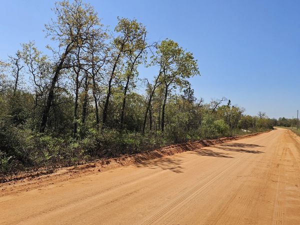 Lot 5 Peppervine Place, Chipley, FL 32428