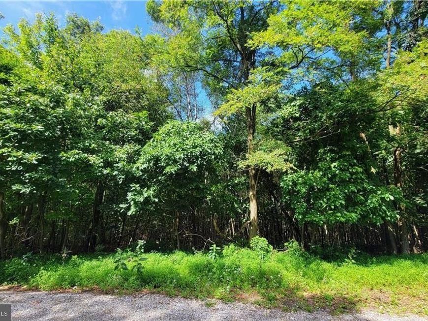 Whitetail Crossing Road, Tamaqua, PA 18252 Main Photo