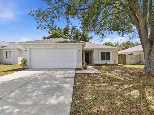 12119 FELDWOOD CREEK LANE , RIVERVIEW, FL 33579
