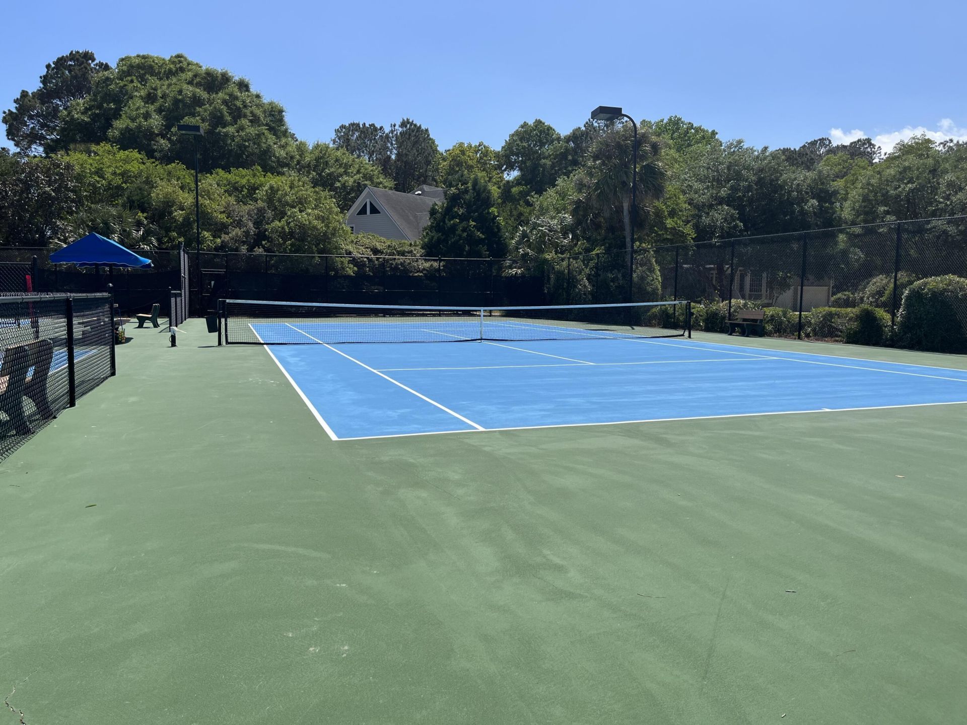 318 Oak Point Landing Drive Photo 46