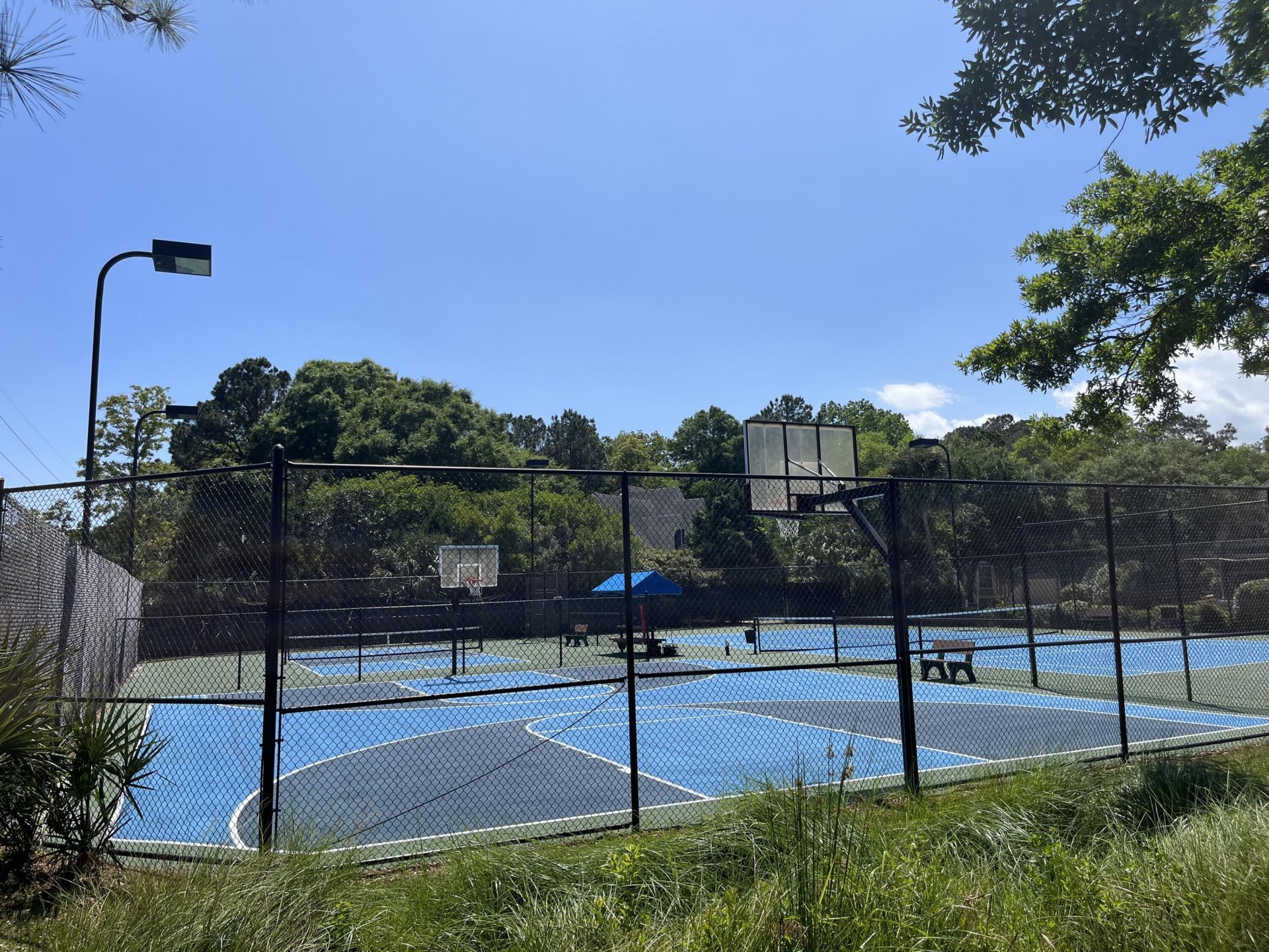 318 Oak Point Landing Drive Photo 48