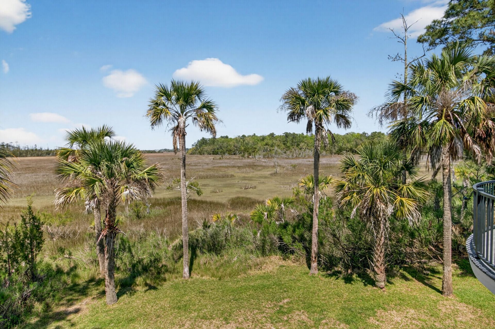 318 Oak Point Landing Drive Photo 65