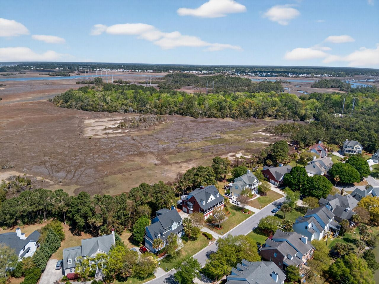 318 Oak Point Landing Drive Photo 83