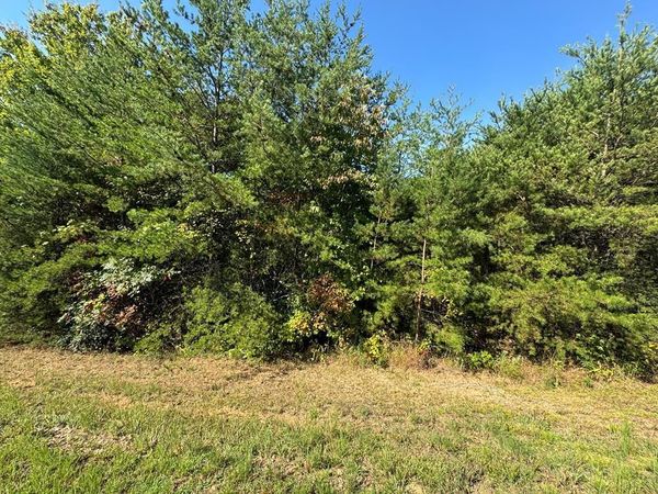 115 Blackhawk Lane, Turtletown, TN 37391