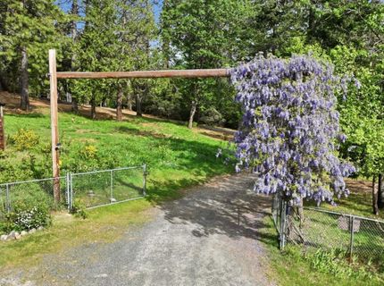 30695 Gold Run School Rd, Gold Run, CA 95717 Photo