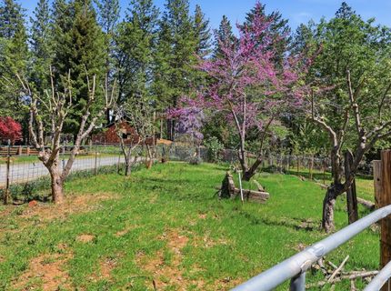 30695 Gold Run School Rd, Gold Run, CA 95717 Photo