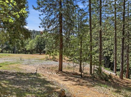 30695 Gold Run School Rd, Gold Run, CA 95717 Photo