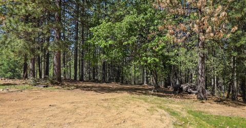 30695 Gold Run School Rd, Gold Run, CA 95717 Photo