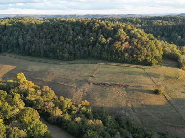 46 Carver Hollow Lane , Pleasant Shade, TN 37145