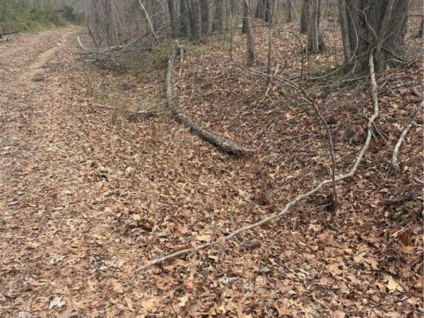 Belgravia Drive , Unit Lot 5 Bloc, Bella Vista, AR 72715