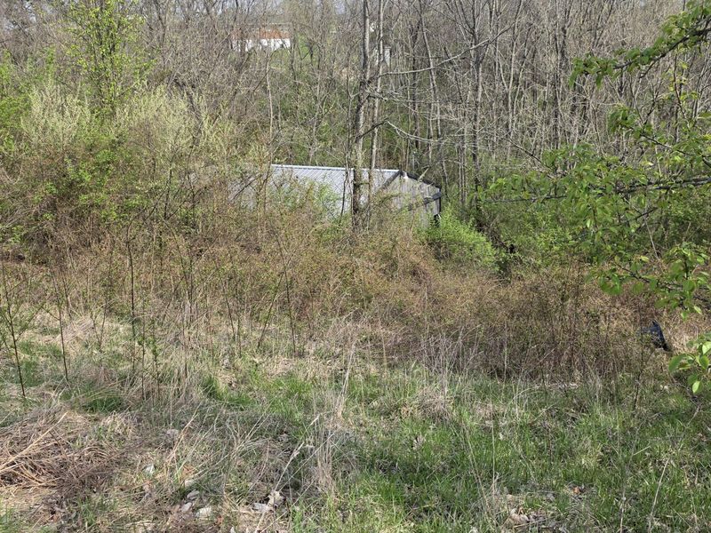 270 Cottonwood Drive, Dry Ridge, KY 41035 Photo 21