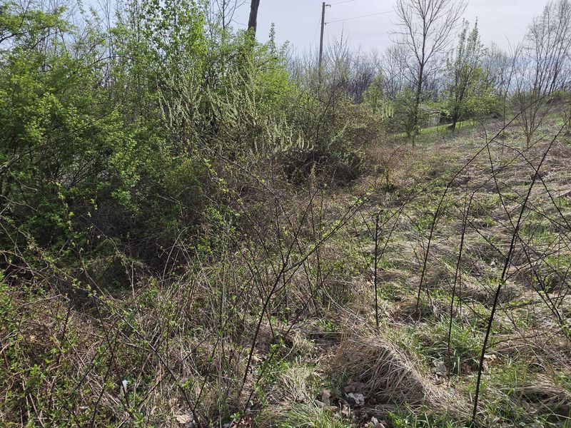 270 Cottonwood Drive, Dry Ridge, KY 41035 Photo 22