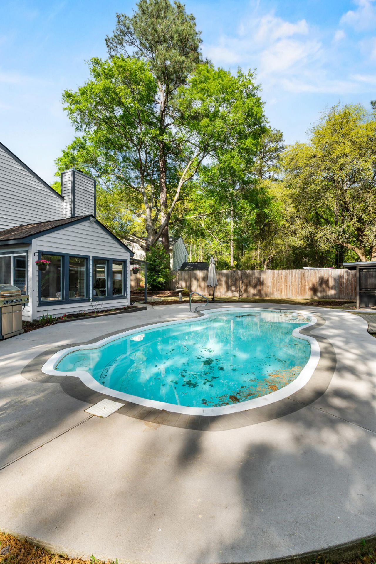 102 Tea Olive Court Photo 36