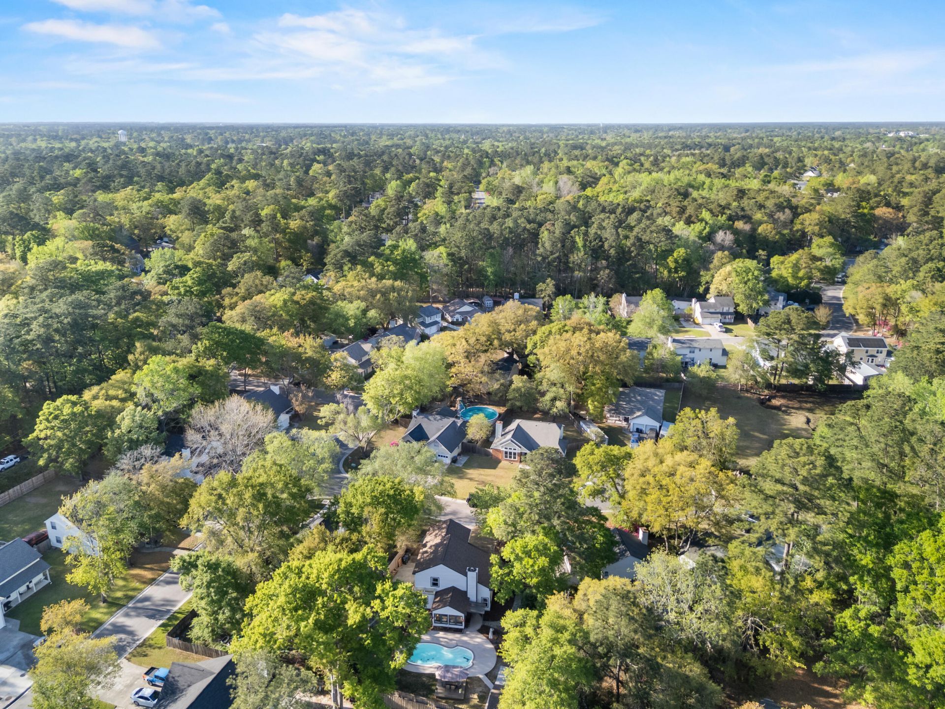 102 Tea Olive Court Photo 45