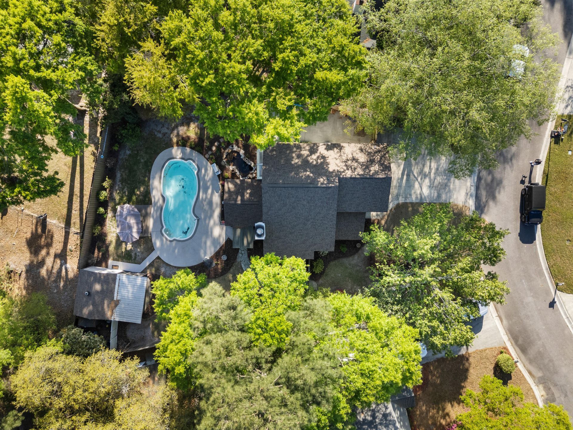 102 Tea Olive Court Photo 5