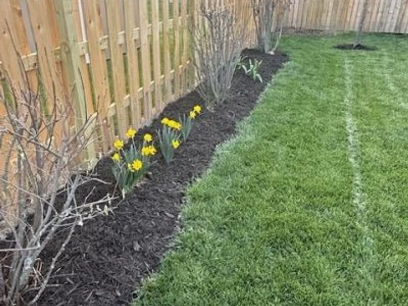 1978 Lakeview Drive, Xenia, OH 45385 Photo 41