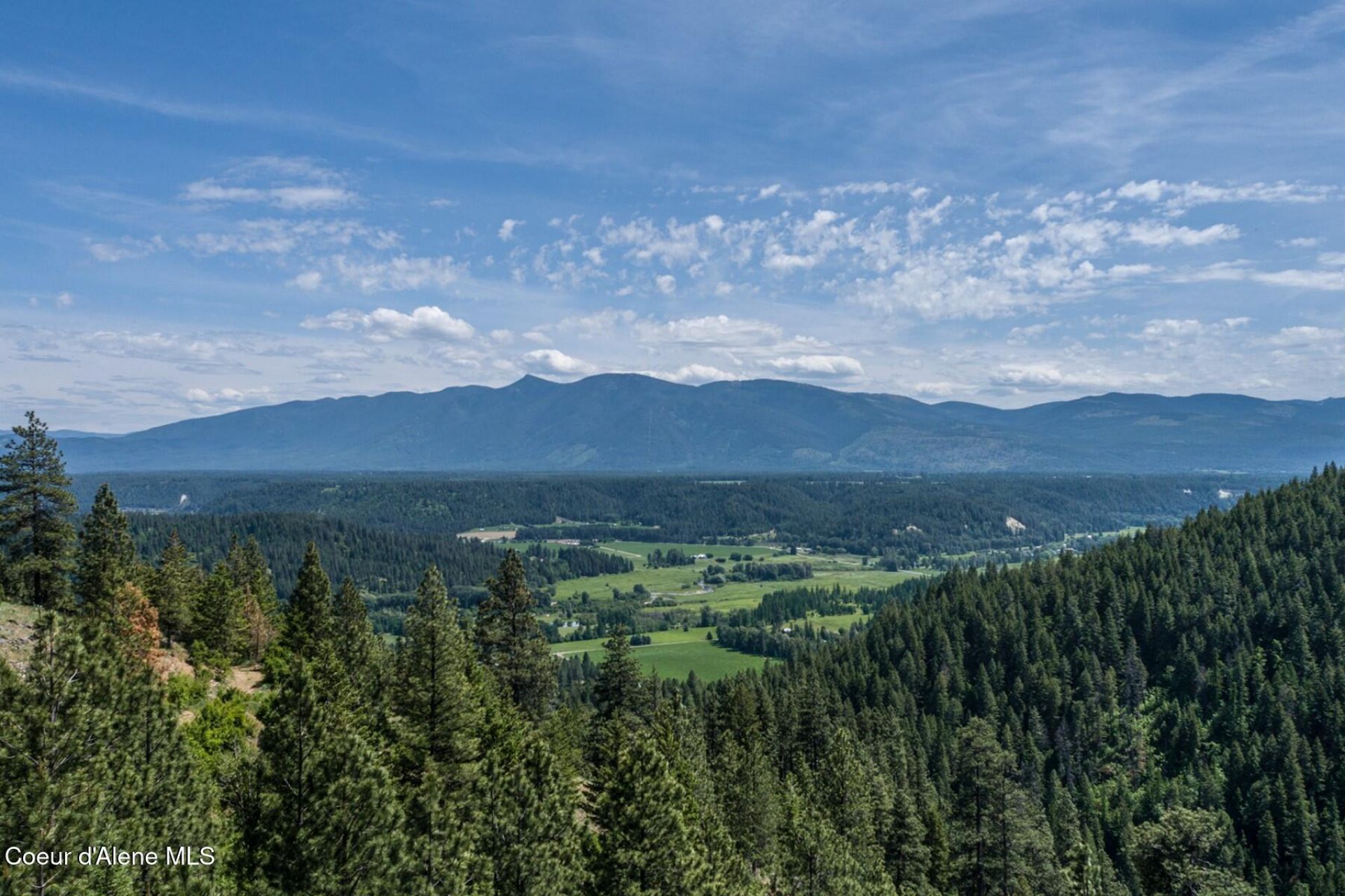 69 Boreal Way  primary photo