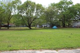 256 Newell Drive photo 4