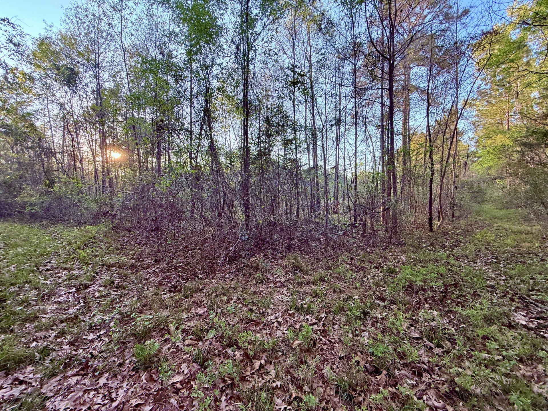 430 Weenee Road Photo 10