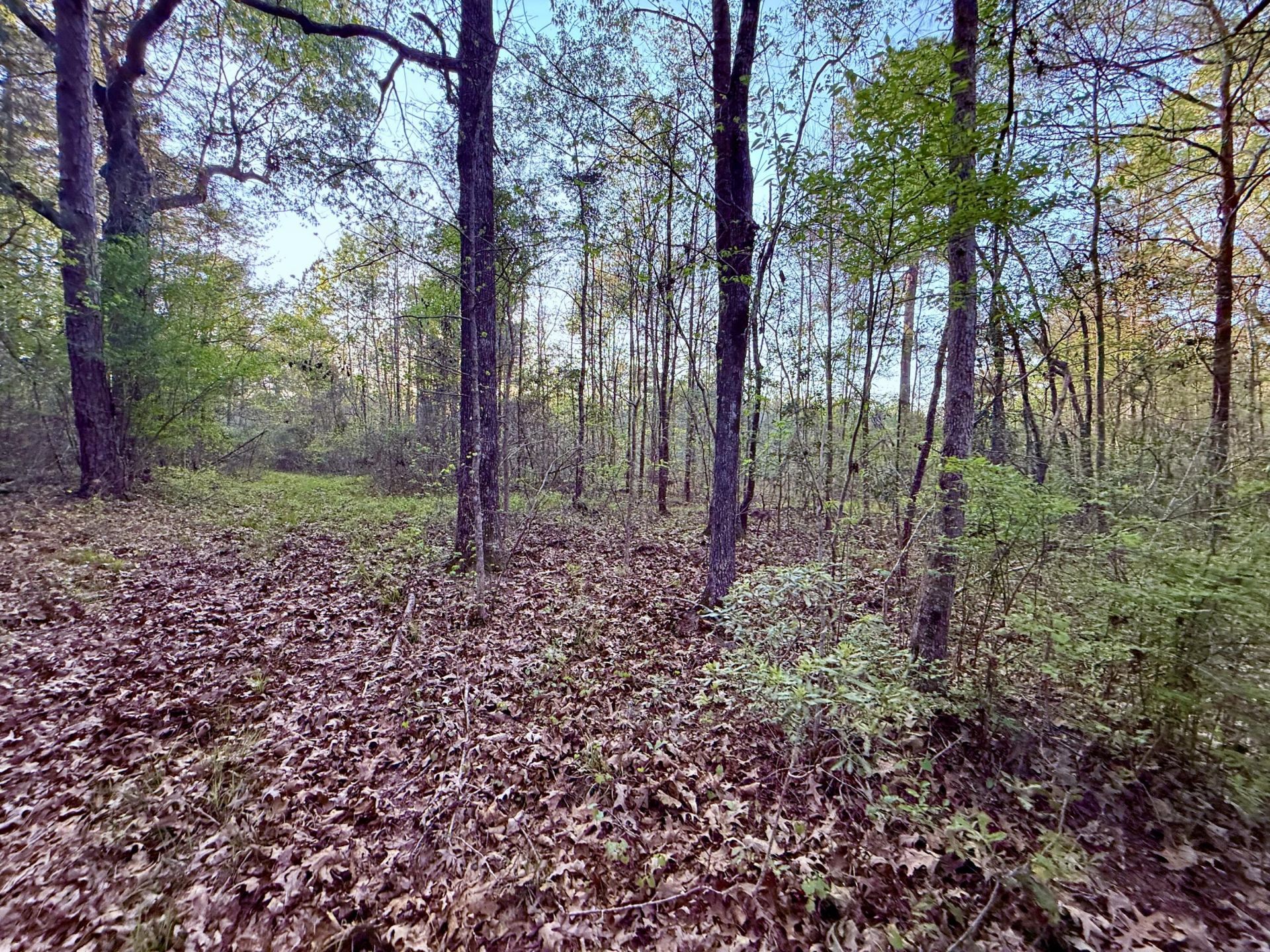 430 Weenee Road Photo 11