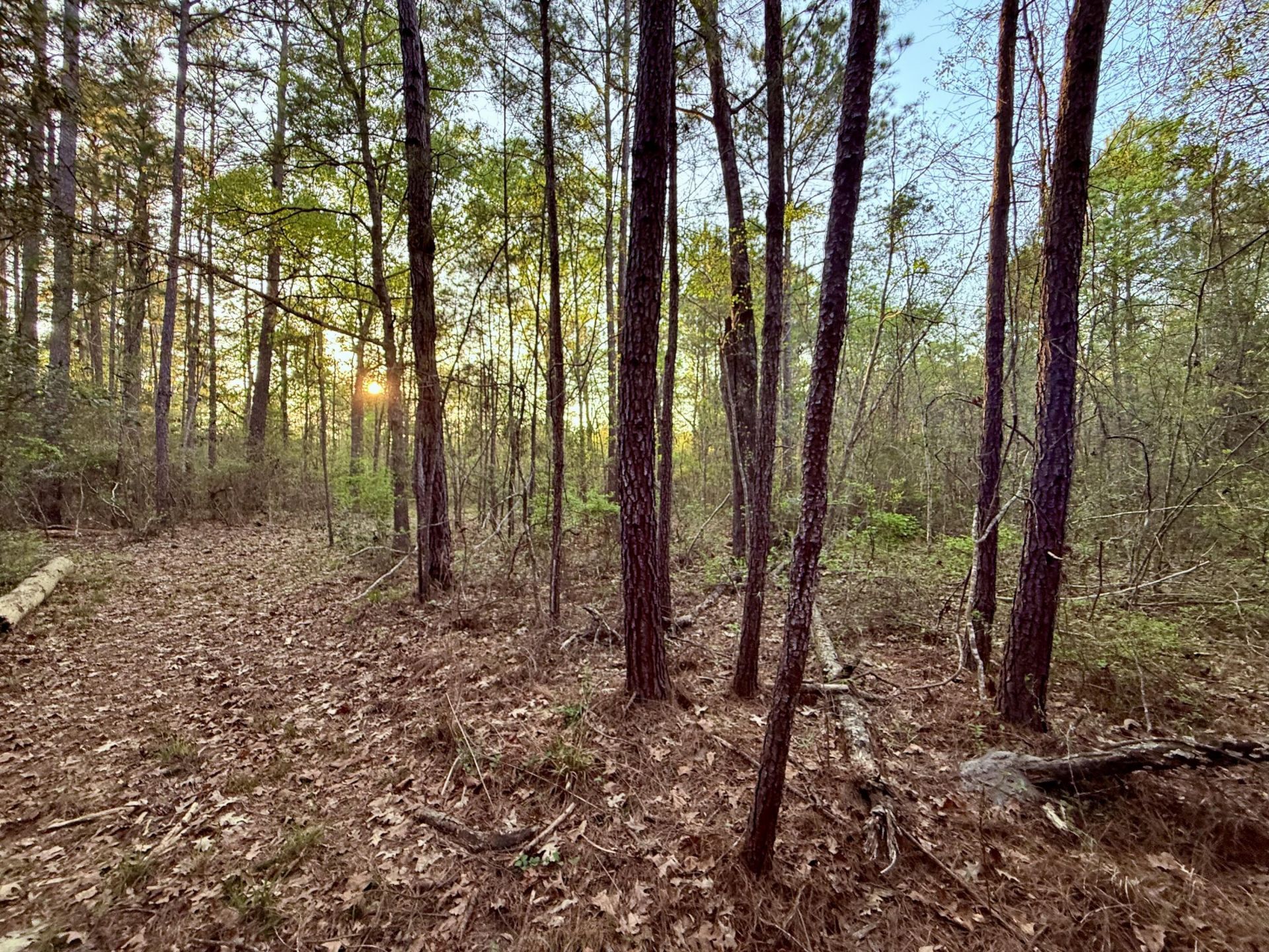 430 Weenee Road Photo 12