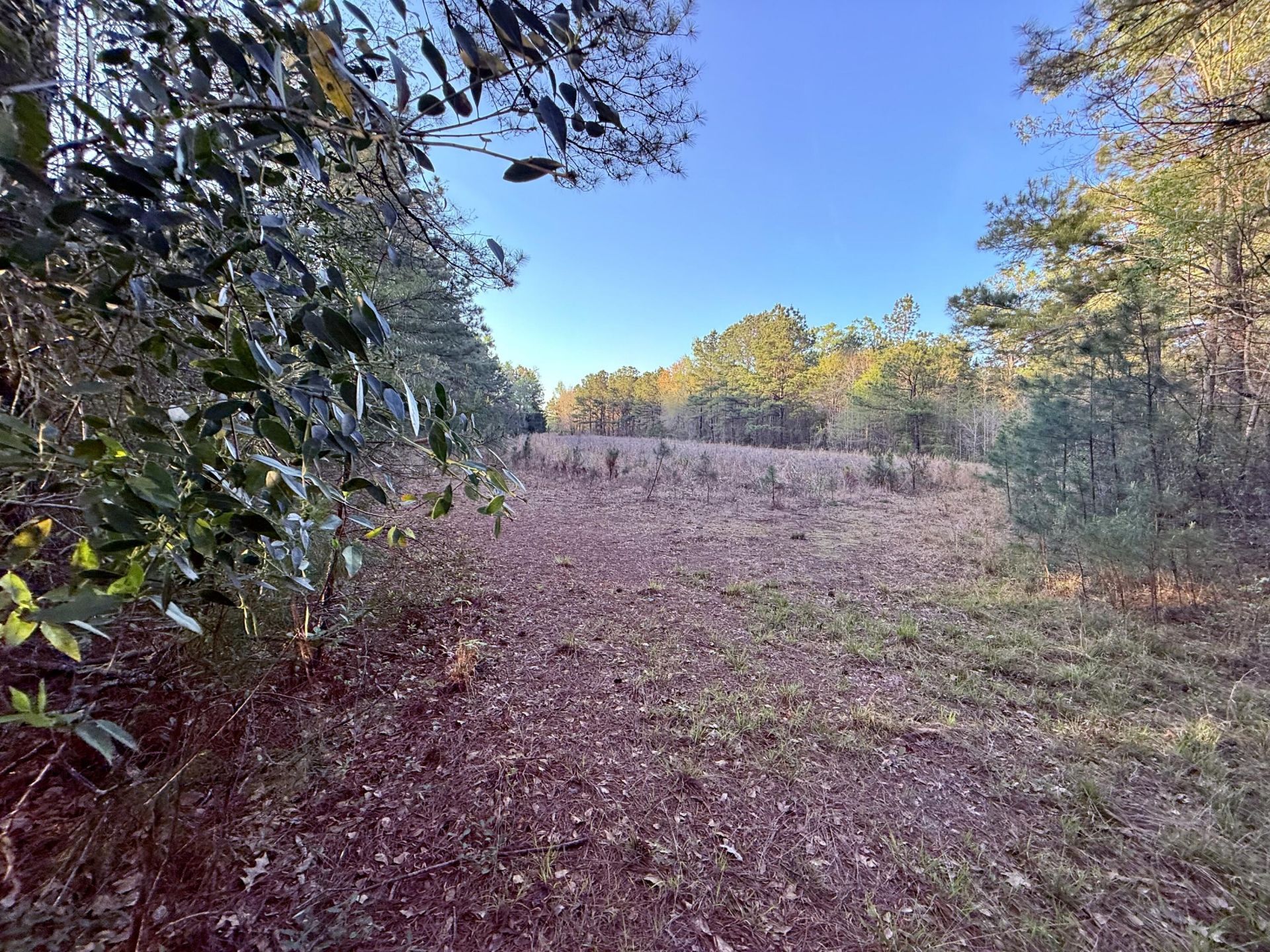 430 Weenee Road Photo 13