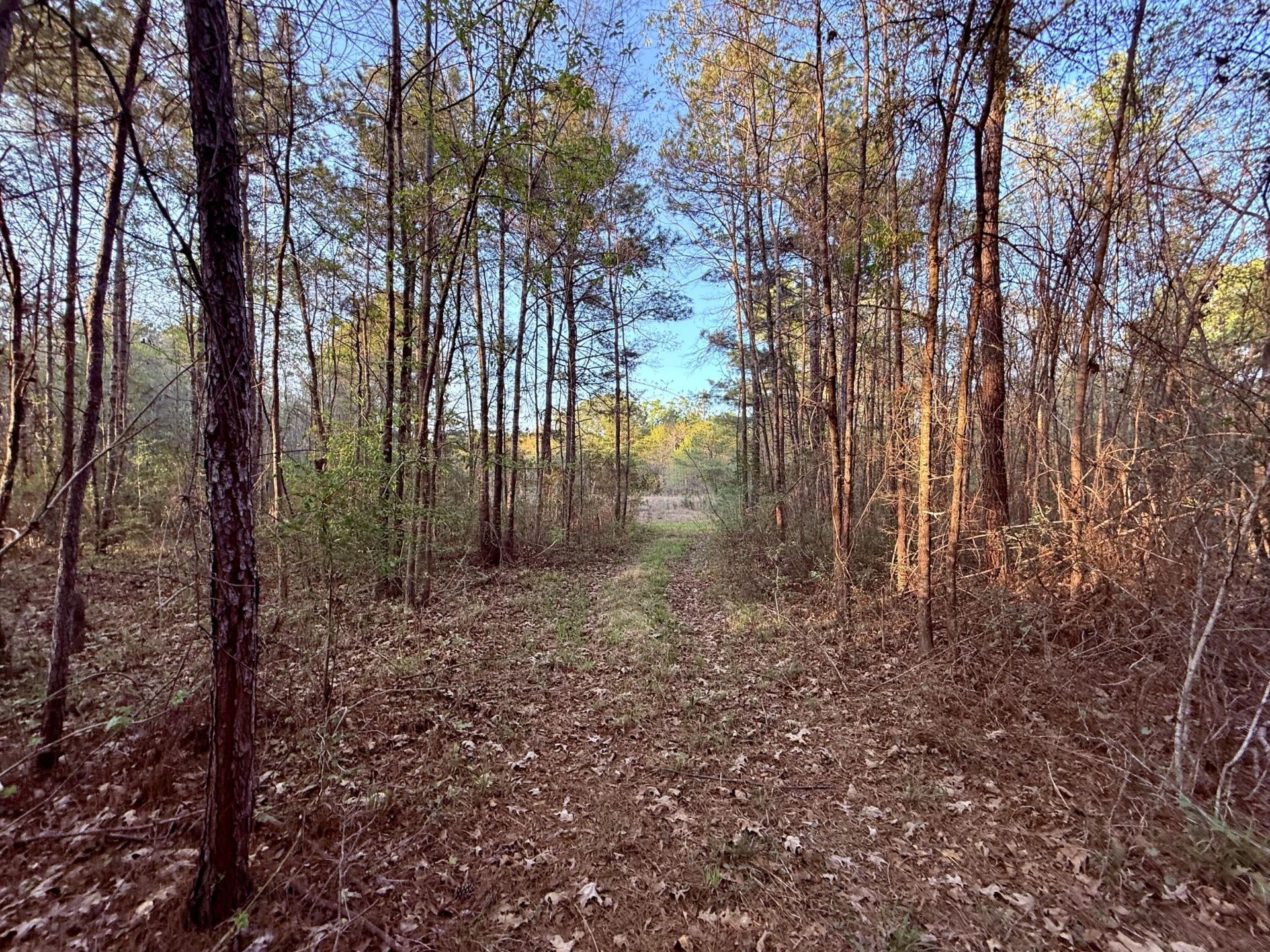 430 Weenee Road Photo 14