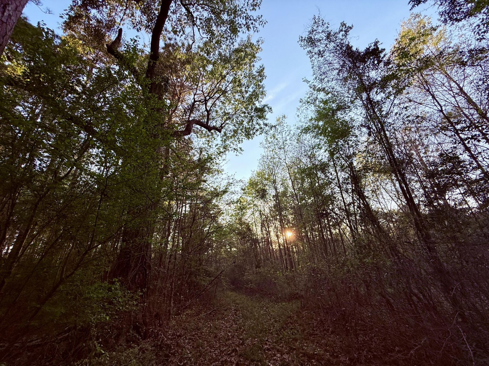 430 Weenee Road Photo 15