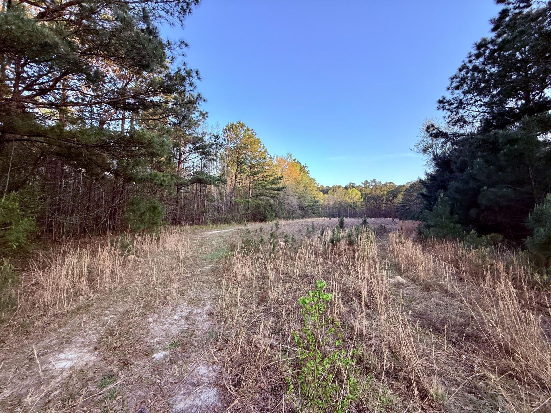 430 Weenee Road Photo 16