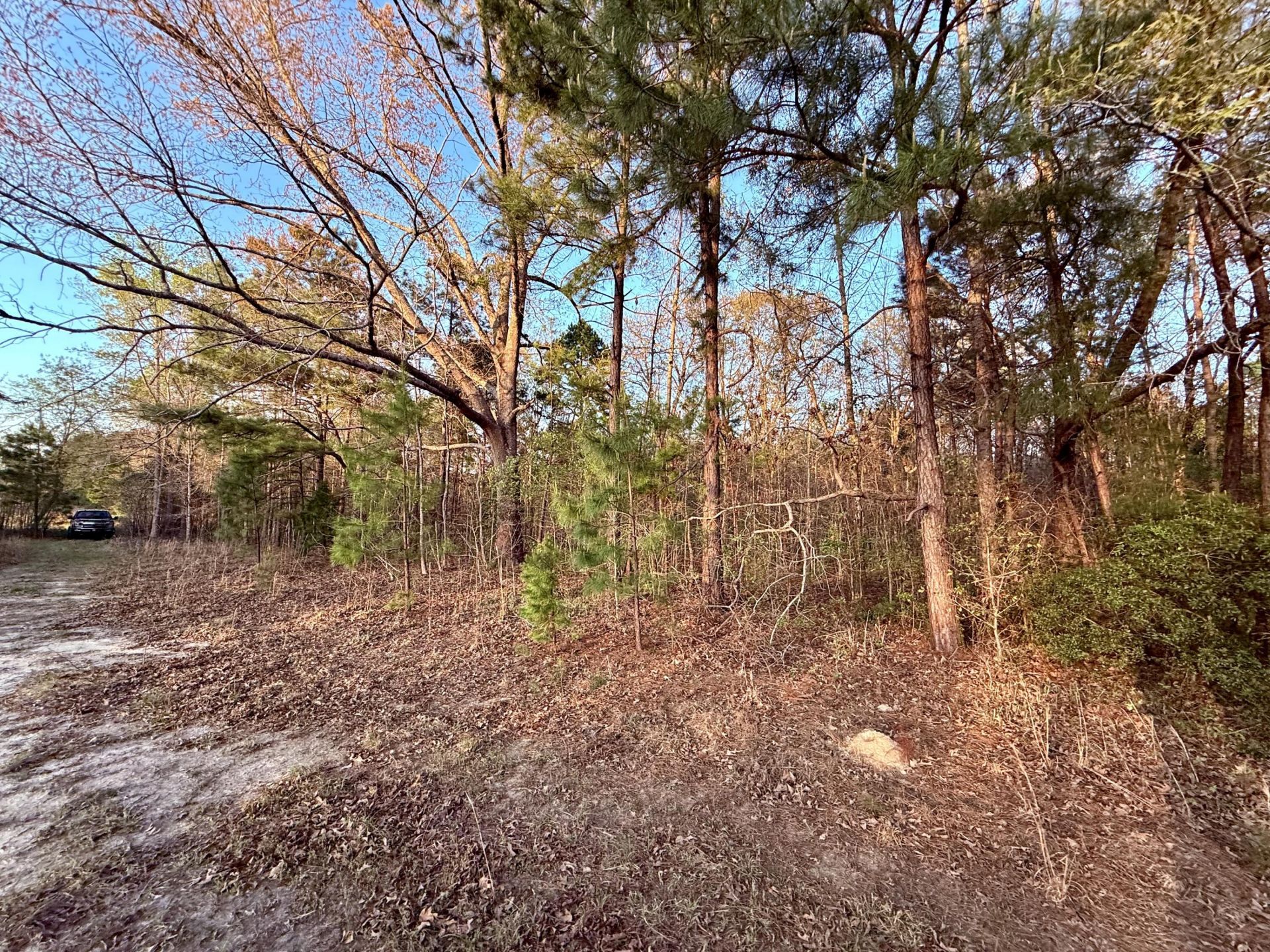 430 Weenee Road Photo 17