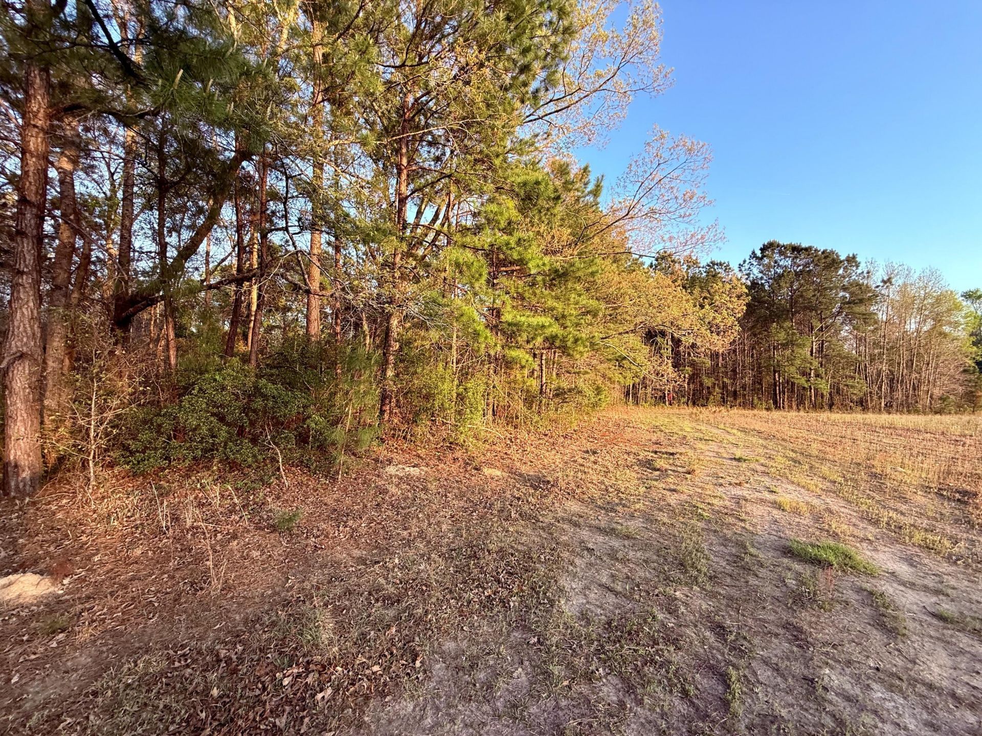 430 Weenee Road Photo 18