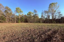 430 Weenee Road photo 4