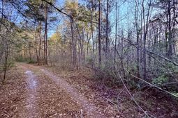 430 Weenee Road photo 4