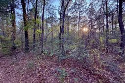 430 Weenee Road photo 4