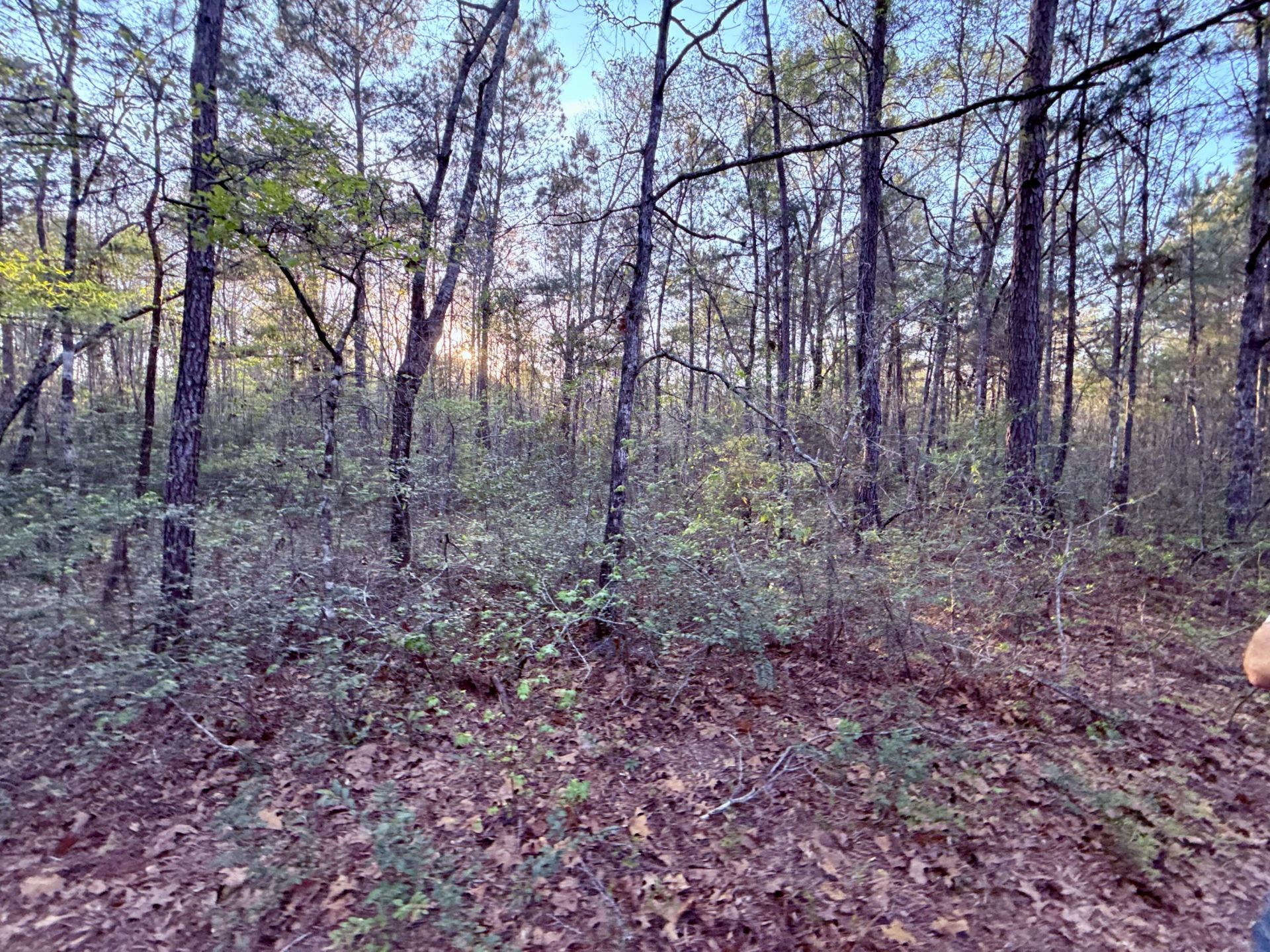 430 Weenee Road Photo 5