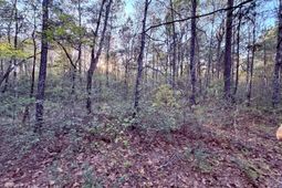 430 Weenee Road photo 4