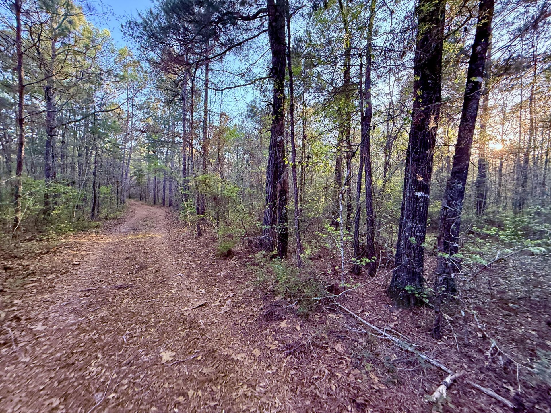 430 Weenee Road Photo 6