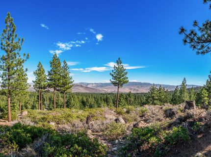 145 W Jeffrey Pine Road, Reno, NV 89511 Photo