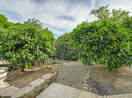 430 Flower Dr, Folsom, CA 95630 Photo