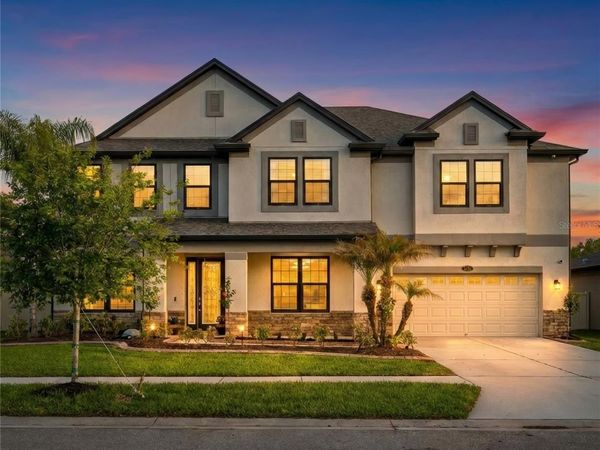 11741 ALBATROSS LANE, RIVERVIEW, FL 33569