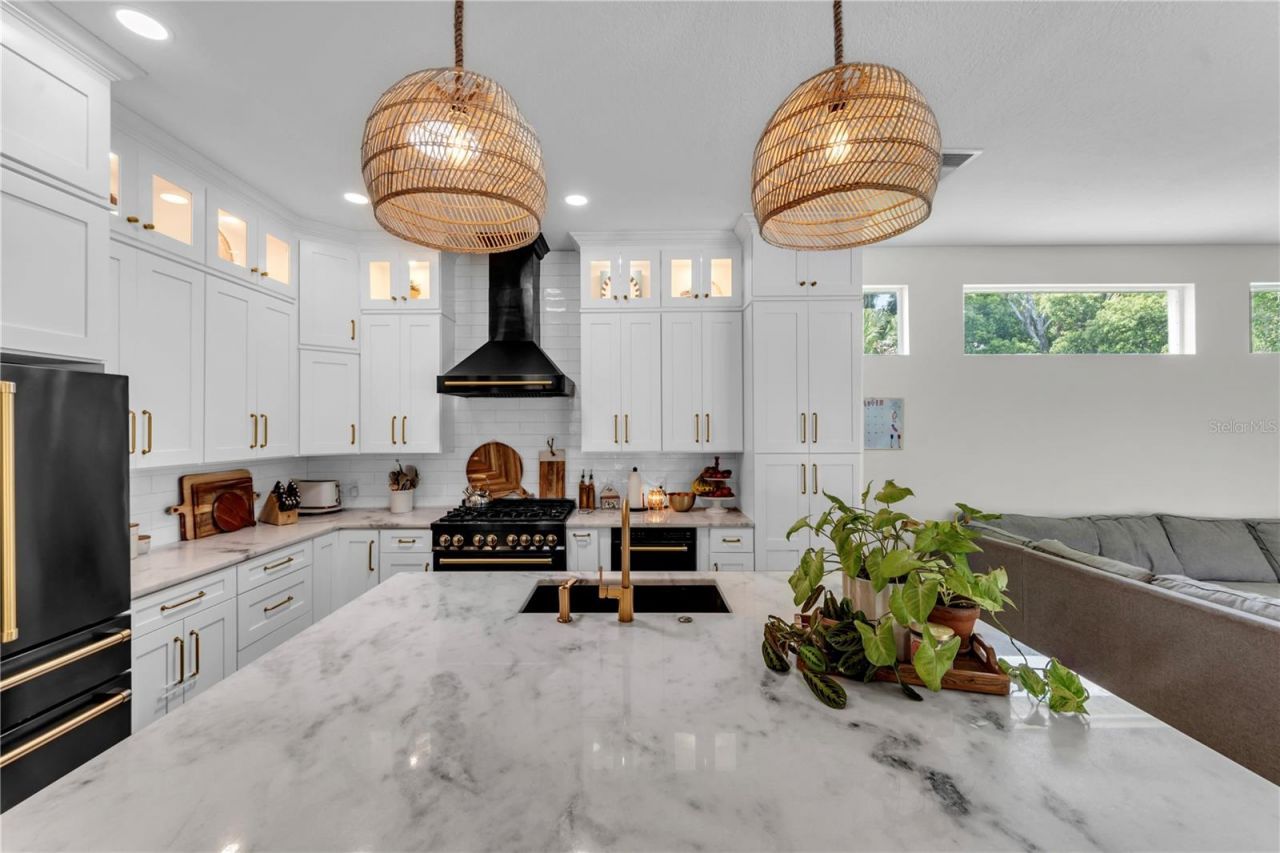 3921 Roswell Place , Land O Lakes, FL 34639 Photo