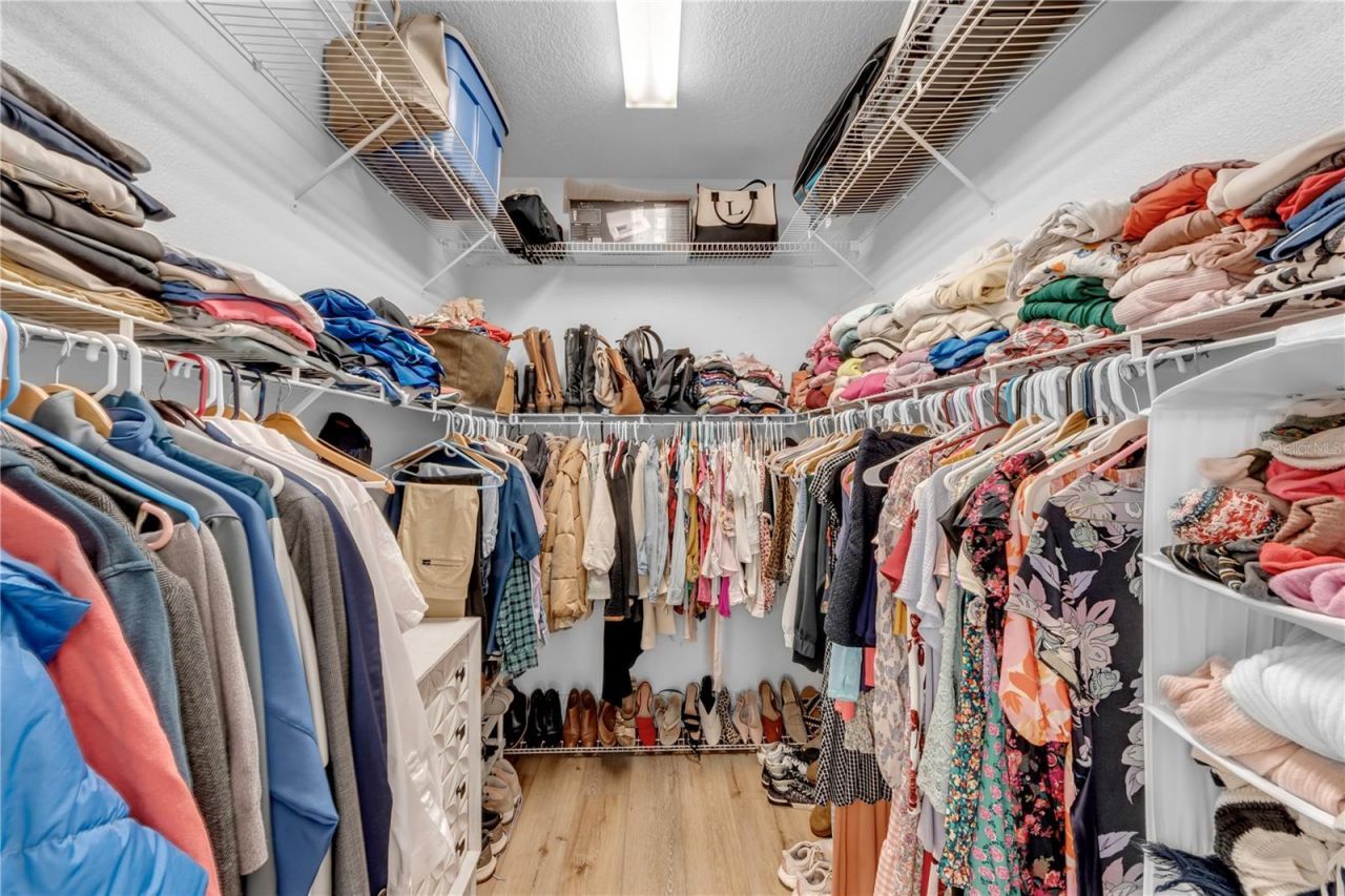 3921 Roswell Place , Land O Lakes, FL 34639 Photo