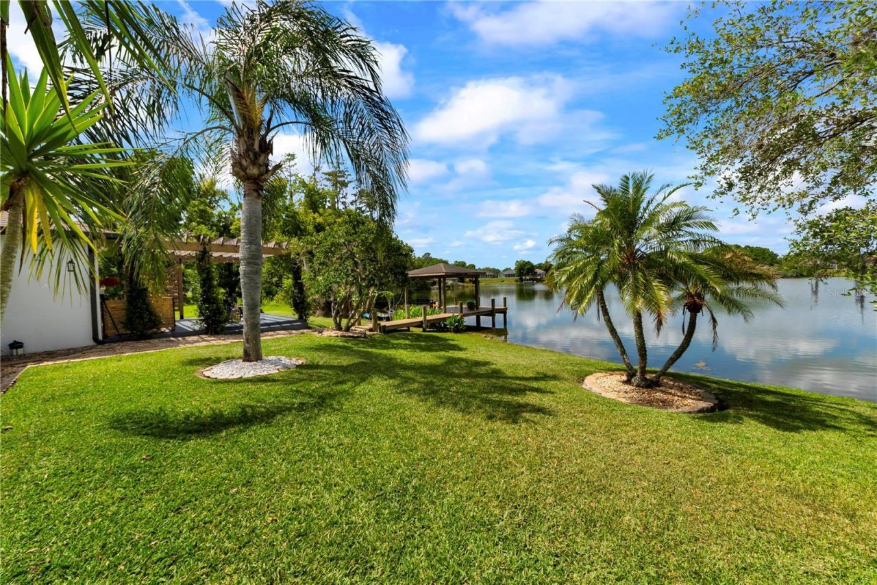 3921 Roswell Place , Land O Lakes, FL 34639 Photo