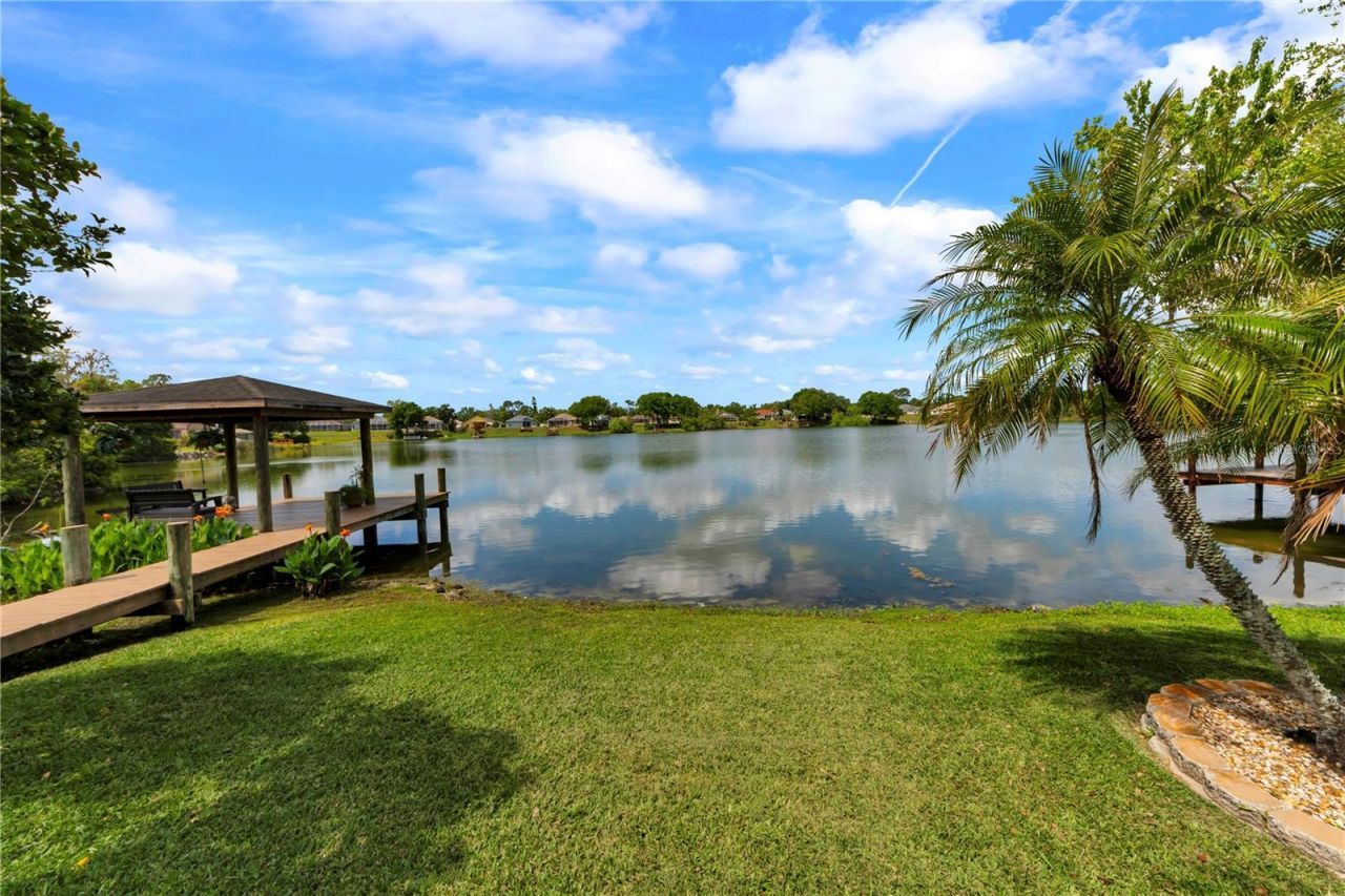 3921 Roswell Place , Land O Lakes, FL 34639 Photo