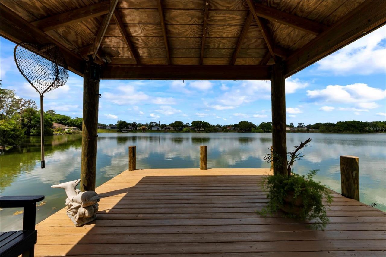 3921 Roswell Place , Land O Lakes, FL 34639 Photo