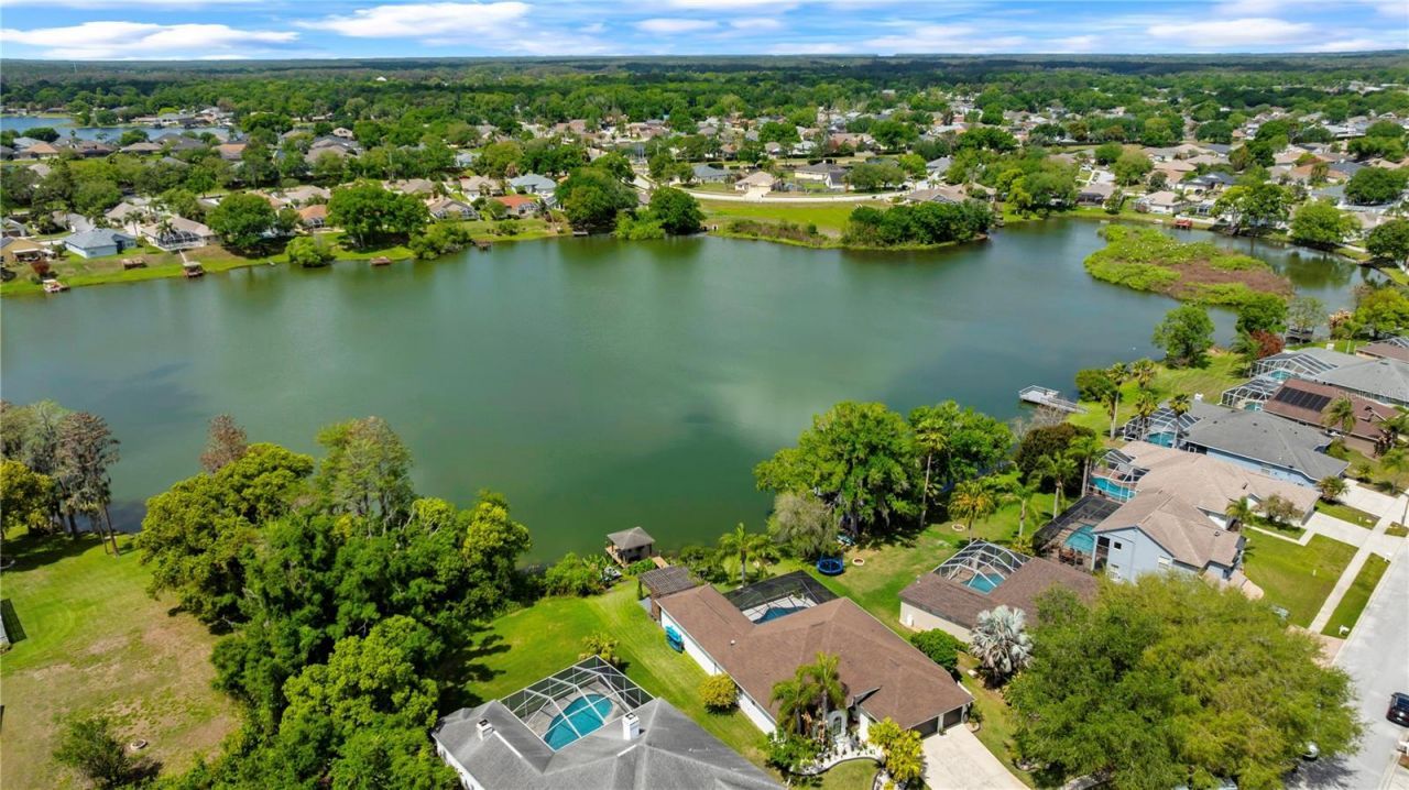 3921 Roswell Place , Land O Lakes, FL 34639 Photo