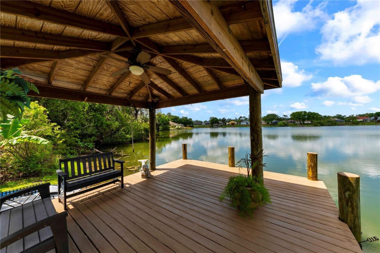 3921 Roswell Place , Land O Lakes, FL 34639 Photo